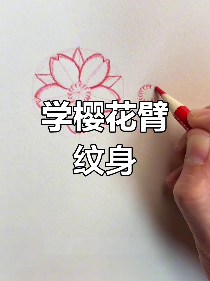 樱花纹身画法全解析,轻松掌握经典设计