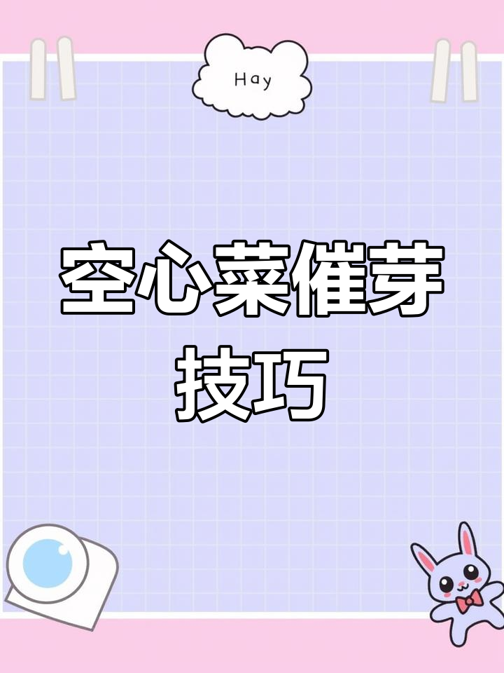 空心菜催芽移栽全攻略,轻松搞定!