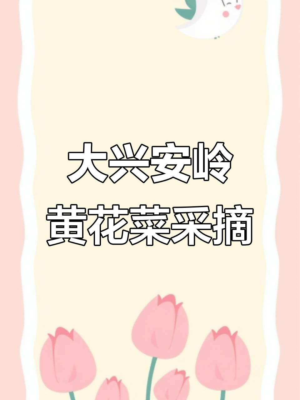 大兴安岭野生黄花菜新鲜出山,坡上采一盘美味新货