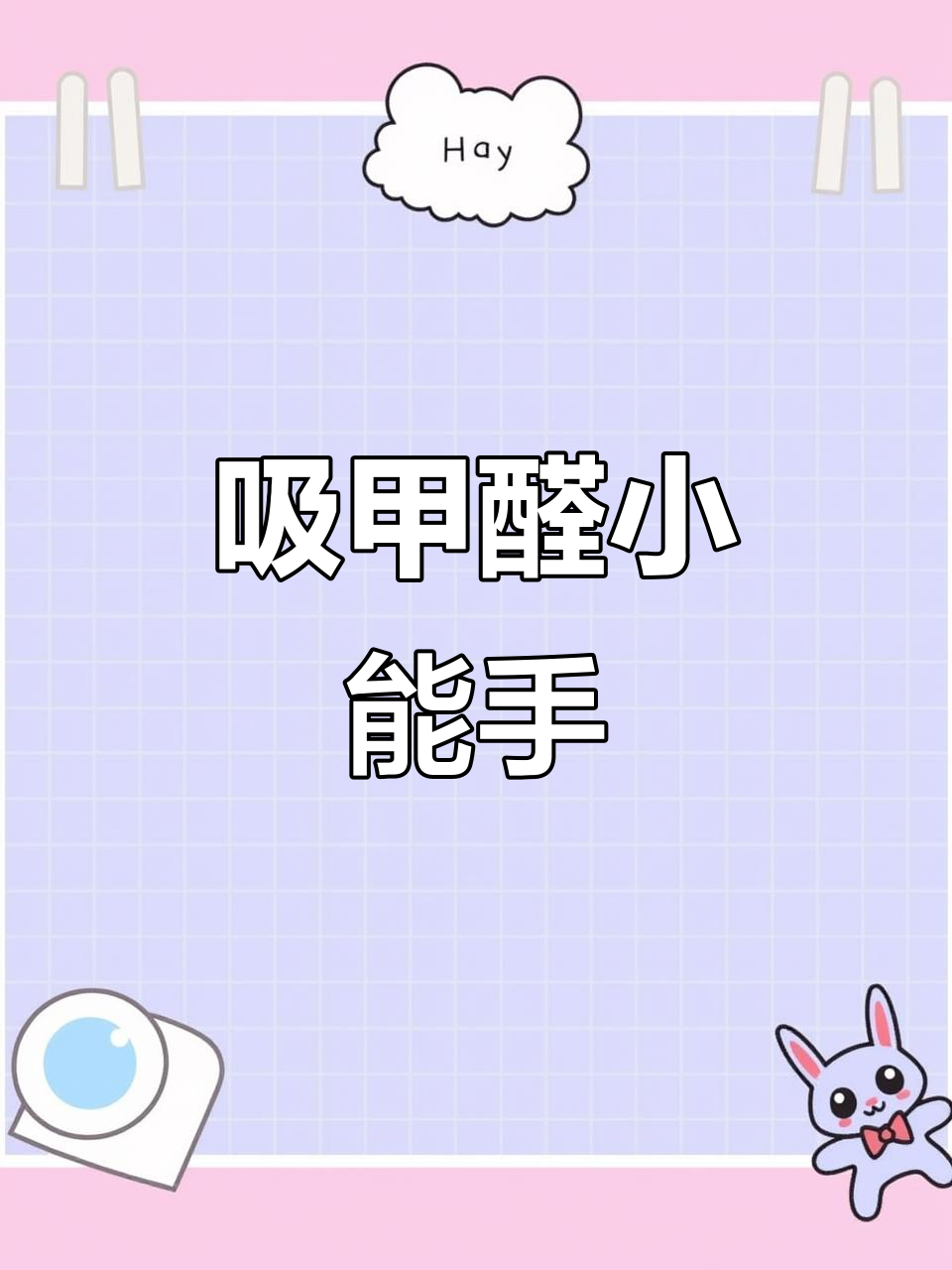 招财手盆栽,净化空气,防辐射,办公室必备绿植