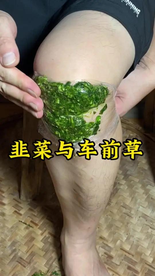 你家种了韭菜吗