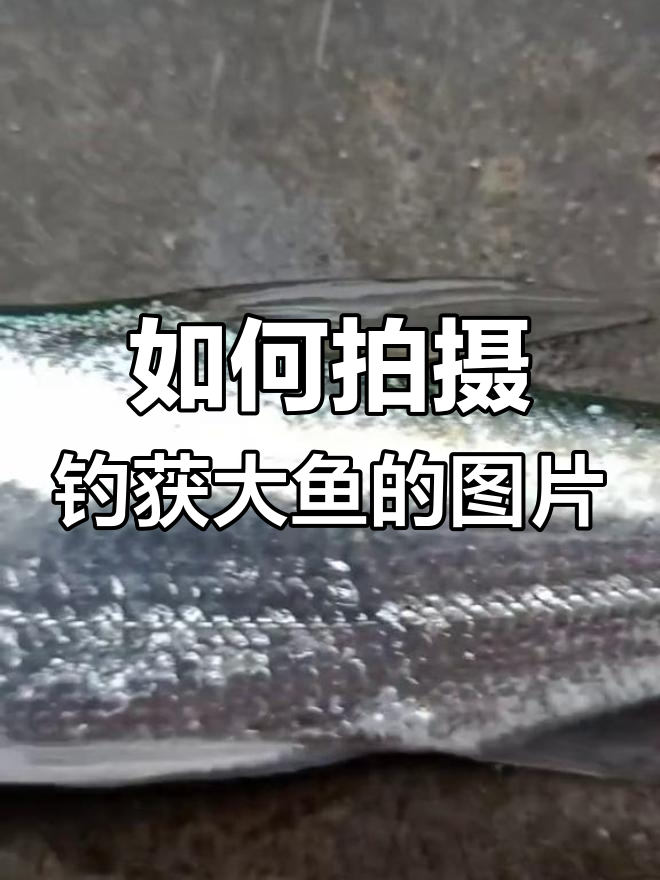 钓鱼装逼技巧大揭秘,如何拍出十几斤的大鱼照片