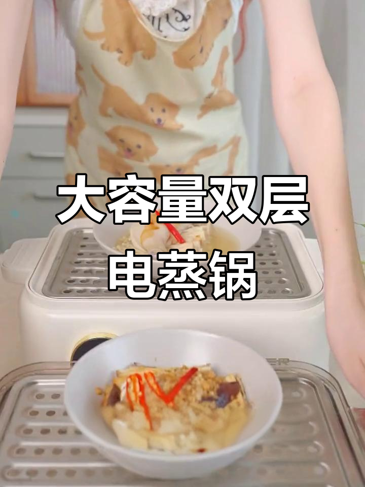 双层电蒸锅,大容量设计让美食更轻松!