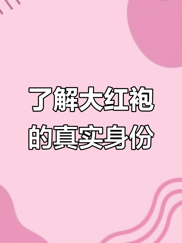 大红袍到底属于哪种茶?揭秘武夷岩茶的真相