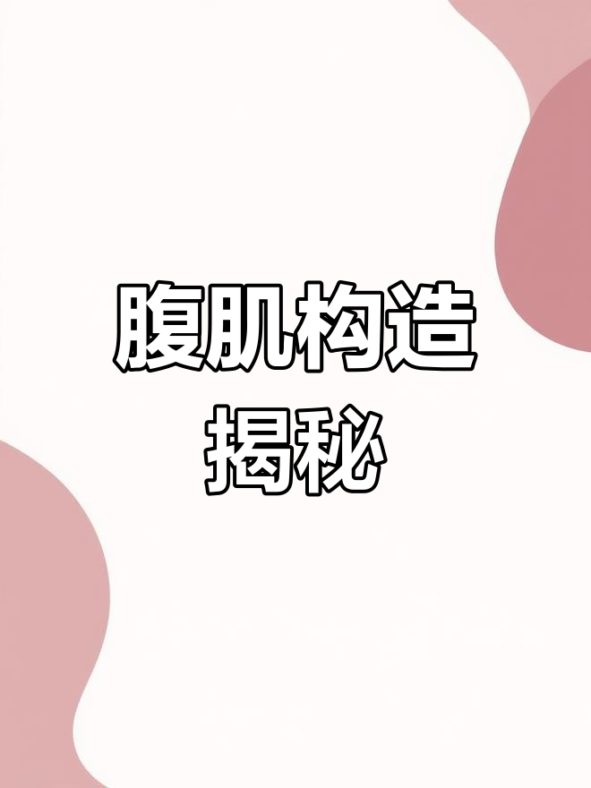 腹部肌肉的解剖结构解析