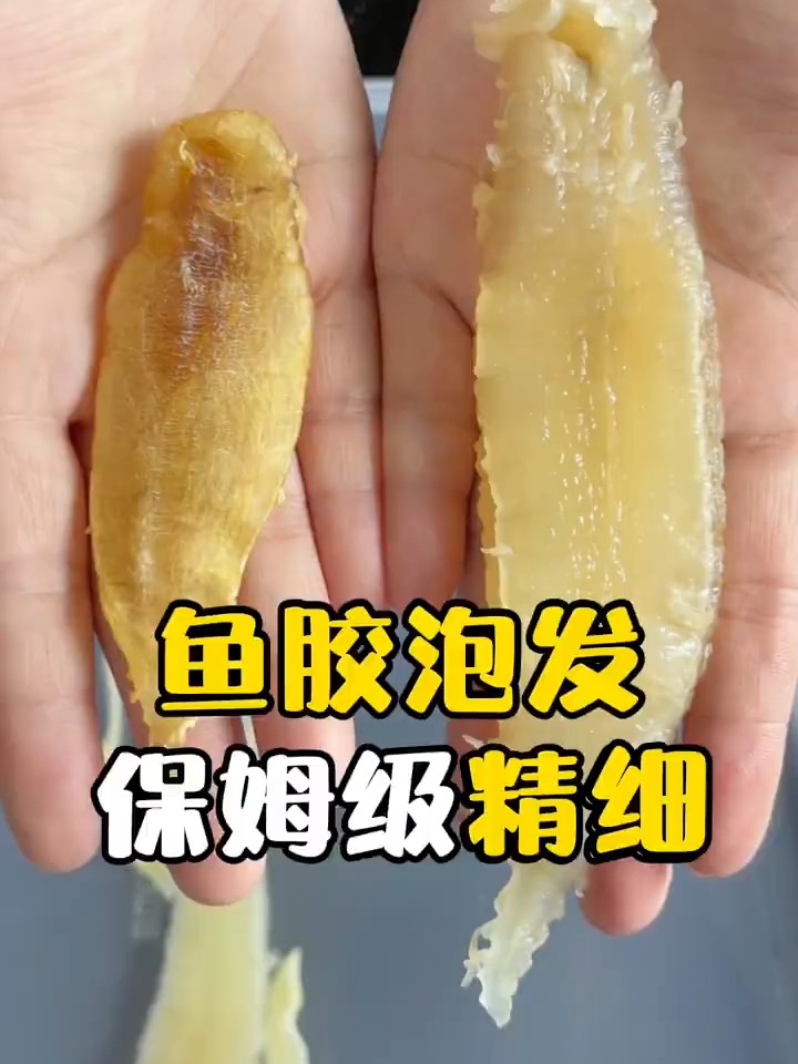 最全面的鱼胶泡发教程~泡出的鱼胶又大又Q弹