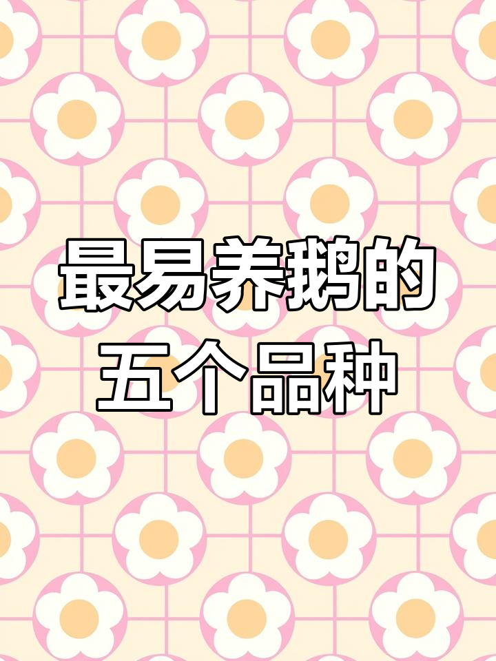五大最适合养的鹅品种,你选对了吗?