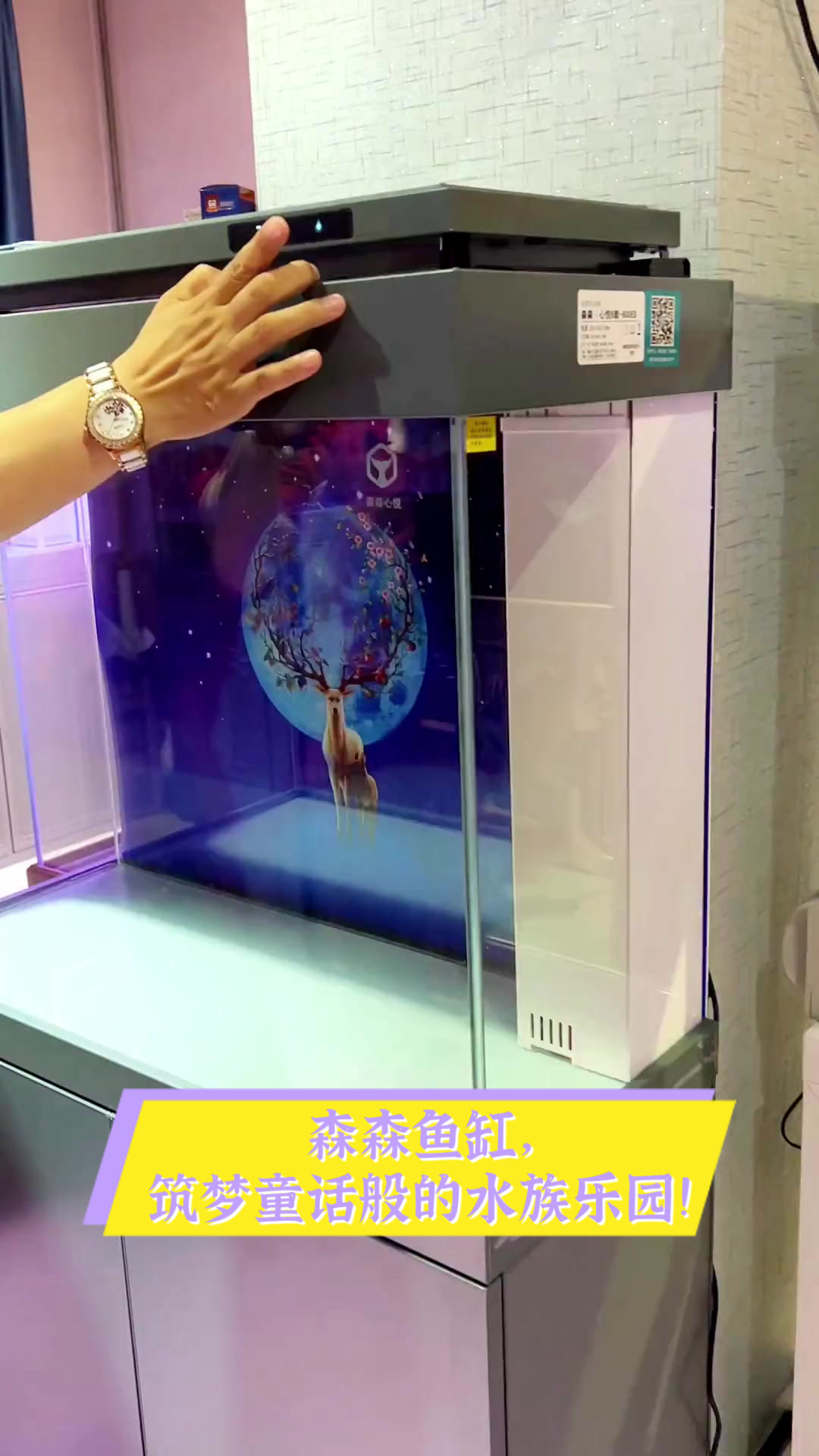 森森鱼缸,筑梦童话般的水族乐园!