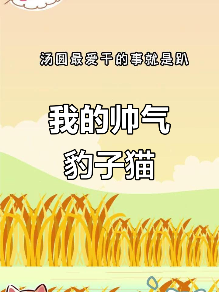 豹纹猫汤圆:从高冷到憨萌,最爱与我“打喵拳”