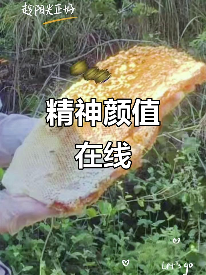 阳光帅气头像,蜂蜜柠檬水带来好心情