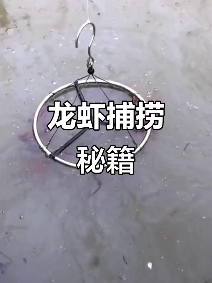 钓龙虾必备网,猪肝鸡肠引诱,轻松捕获大量小龙虾!