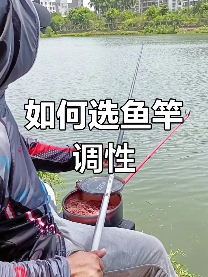 钓鱼竿19调和28调的区别与选择技巧