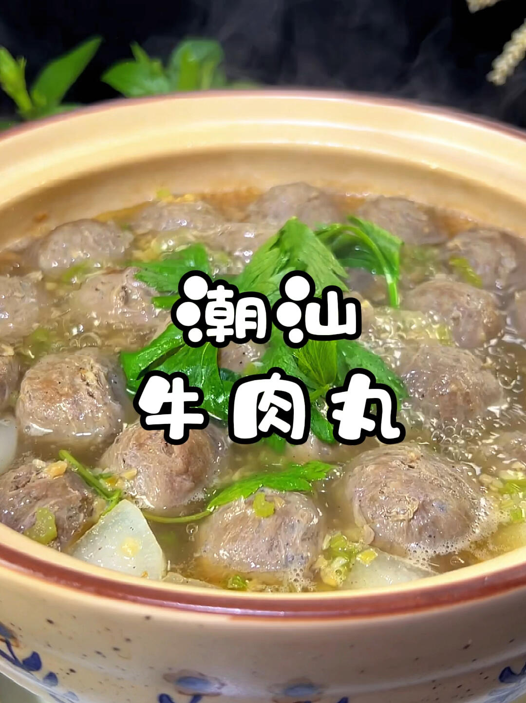 潮汕牛肉丸
