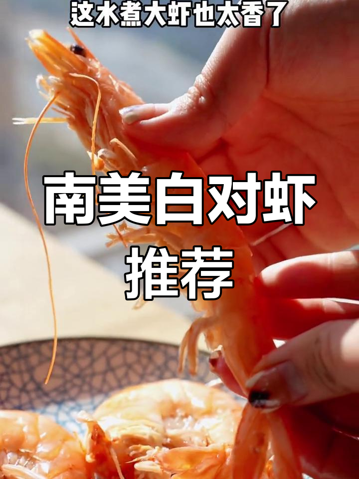 新鲜海虾,南美白对虾大赏