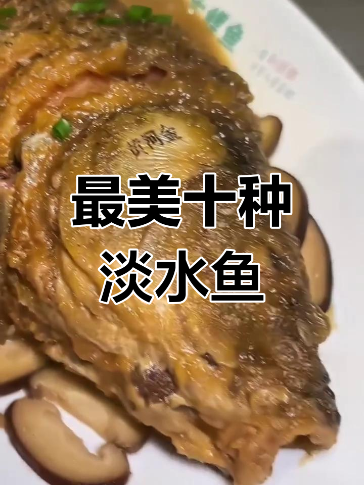 十大最美淡水鱼,你中意哪一款?