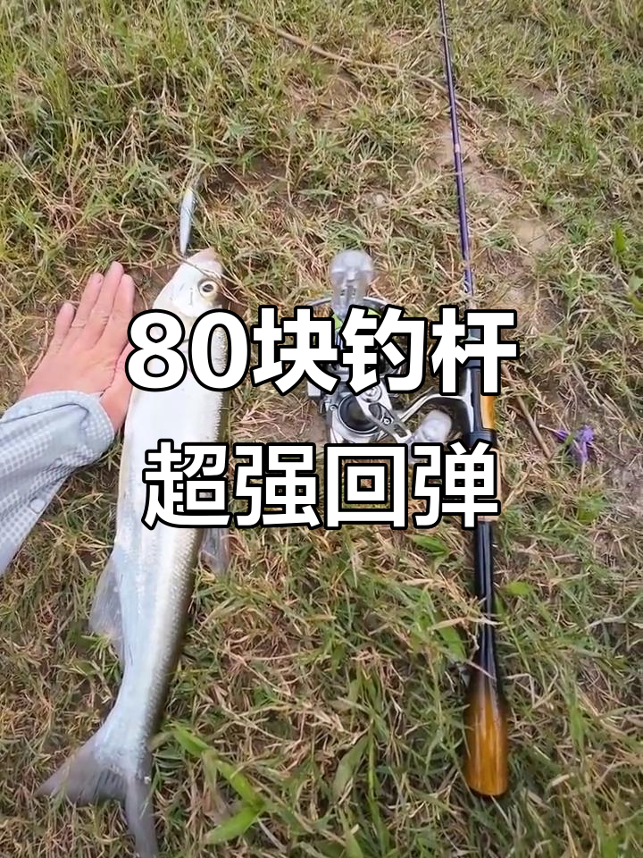 80元钓竿竟有如此暴躁回弹,溪流钓鱼体验大揭秘