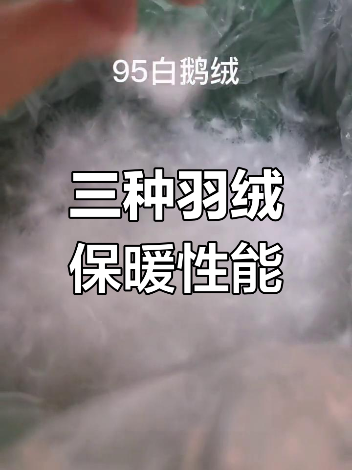 羽绒服填充物对比:灰鸭绒、白鸭绒与白鹅绒的差异