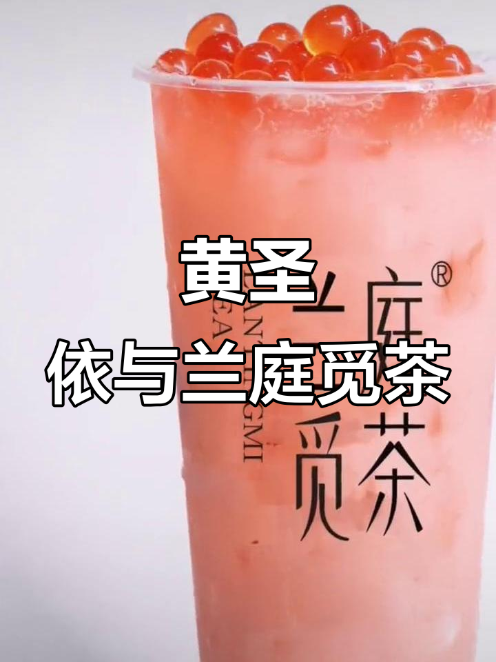 盘县奶茶创业路,黄圣依助力新项目