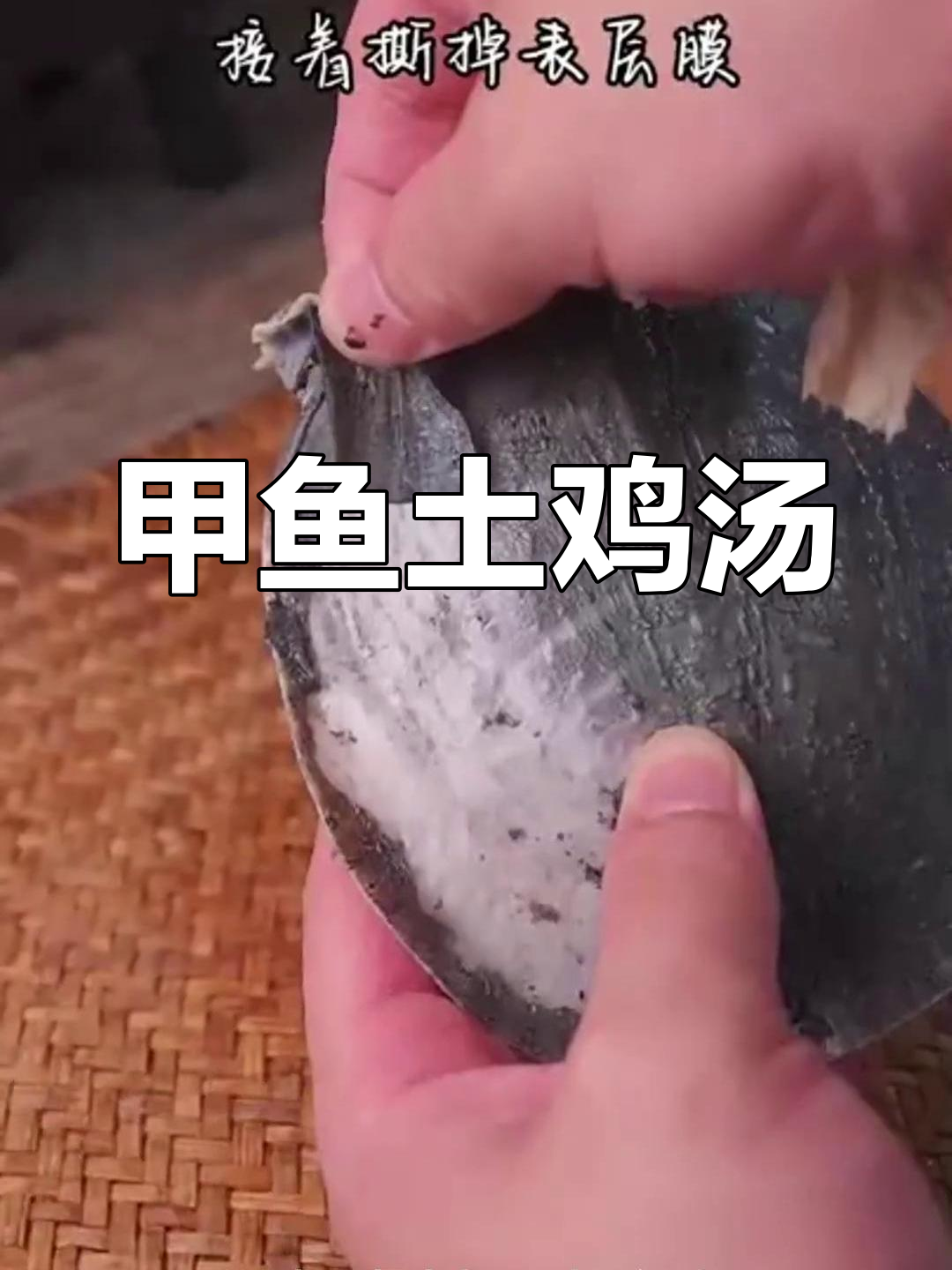 甲鱼与土鸡的江湖风味,独特搭配让人欲罢不能