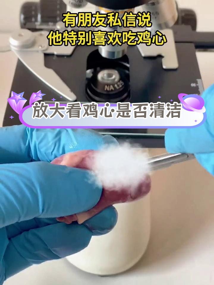 显微镜下的鸡心,干净吗?