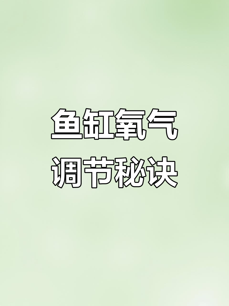 水族箱增氧技巧:气泵与水位的完美配合