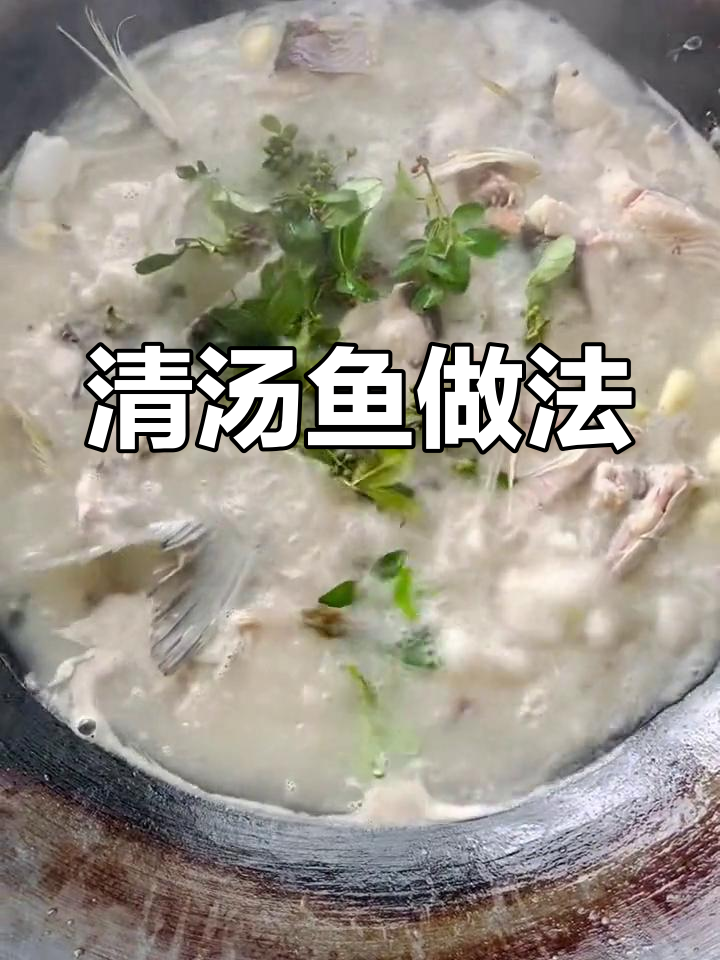 轻松做出正宗清汤鱼,简单又美味
