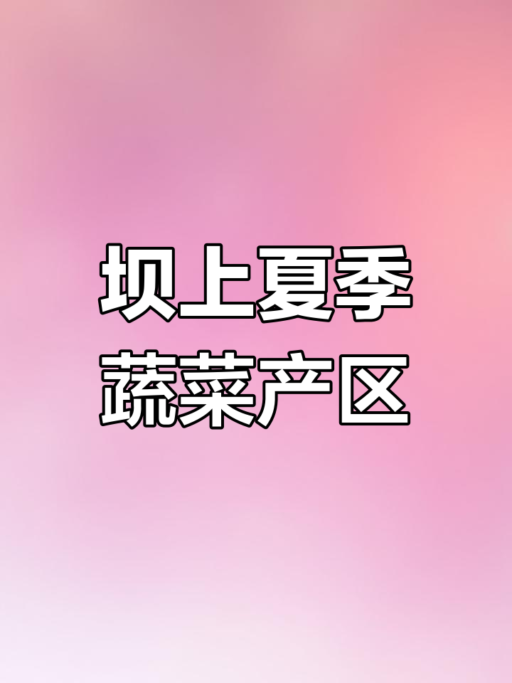 张家口坝上蔬菜种植基地揭秘