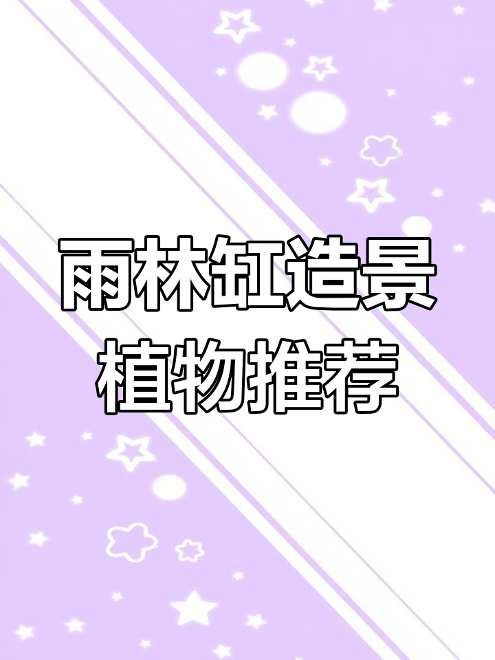 半水环境雨林缸植物选择指南,哪些最适合养龟?