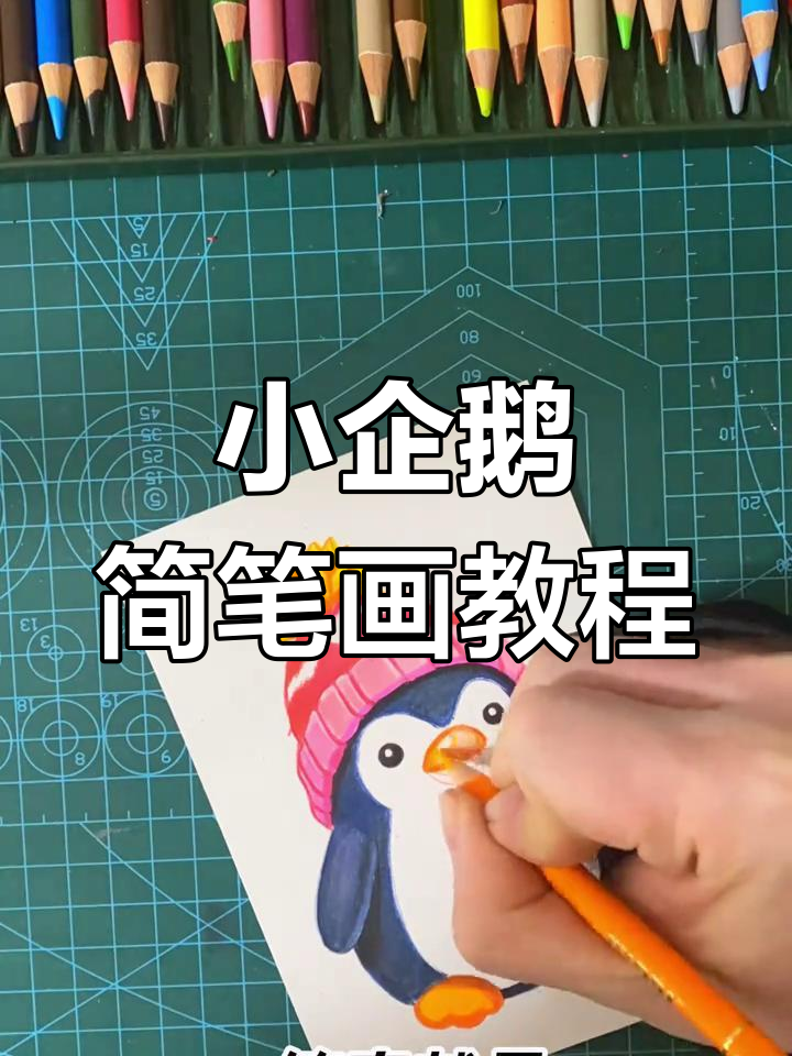 猜谜学画小企鹅,简单步骤教你画出可爱南极动物