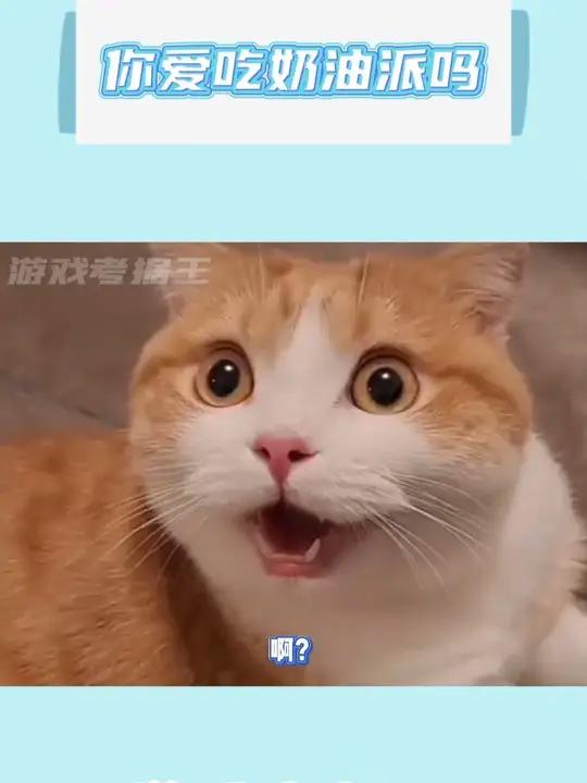 还好我不吃奶油派