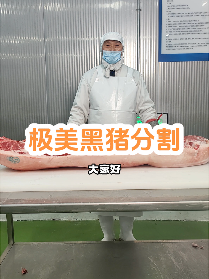 分割一片100斤的极美黑猪白条
