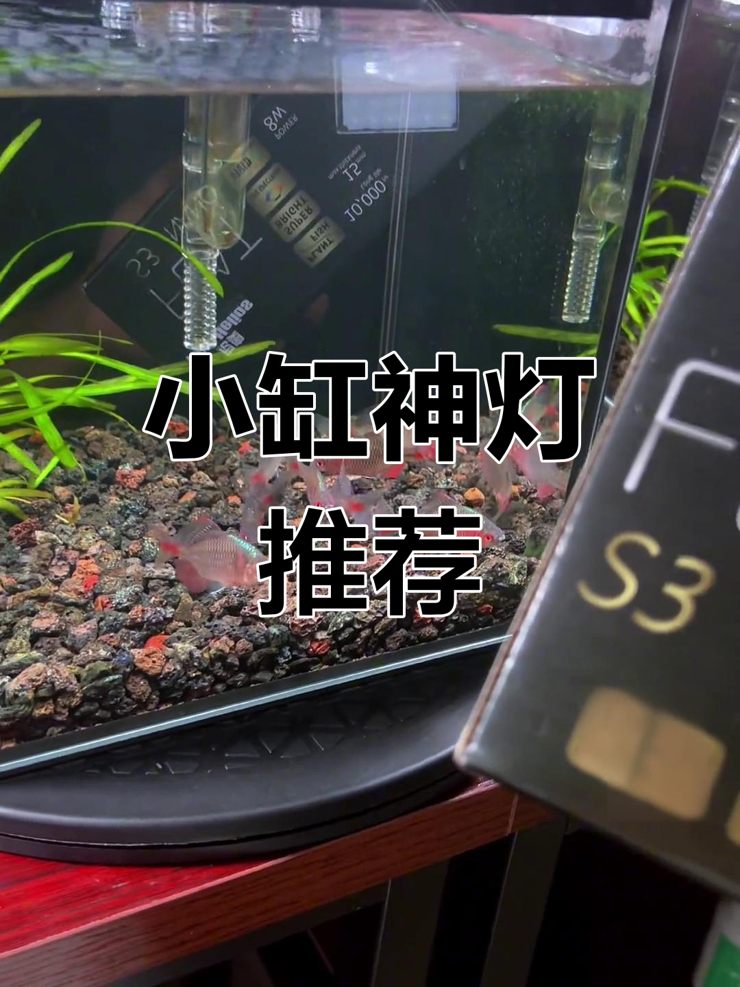 尼奥S3灯光,让鳑鲏缸更完美!