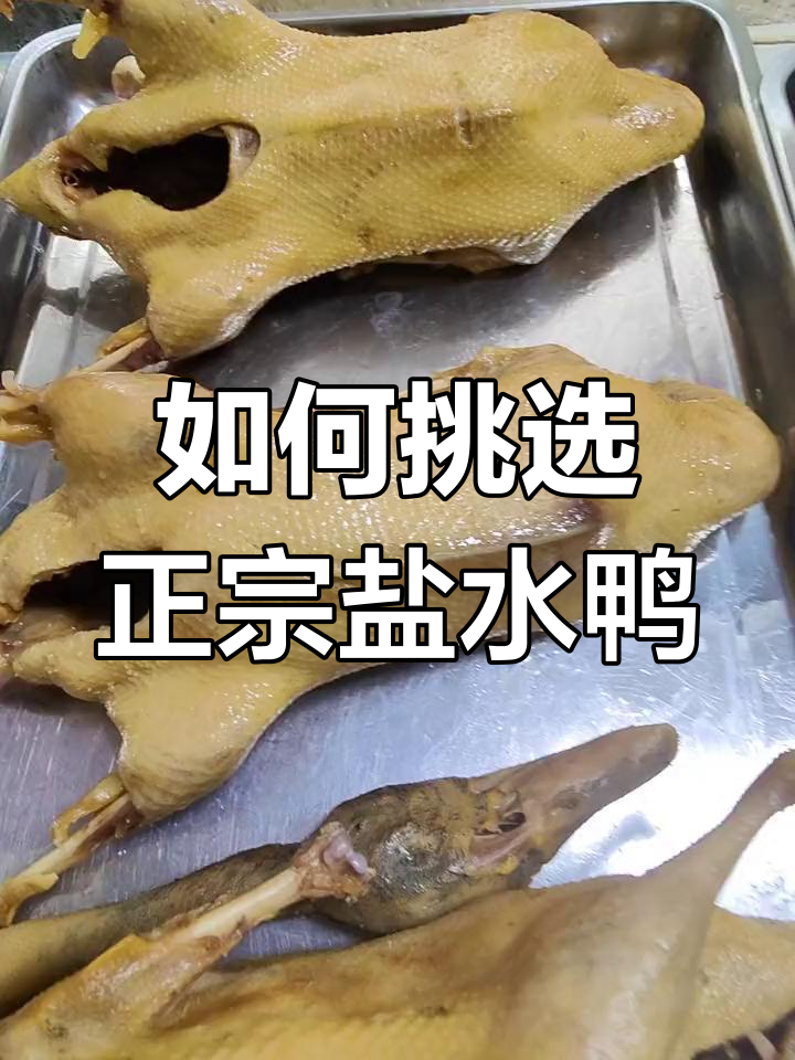 传统盐水鸭的差异,草麻鸭如何选择?