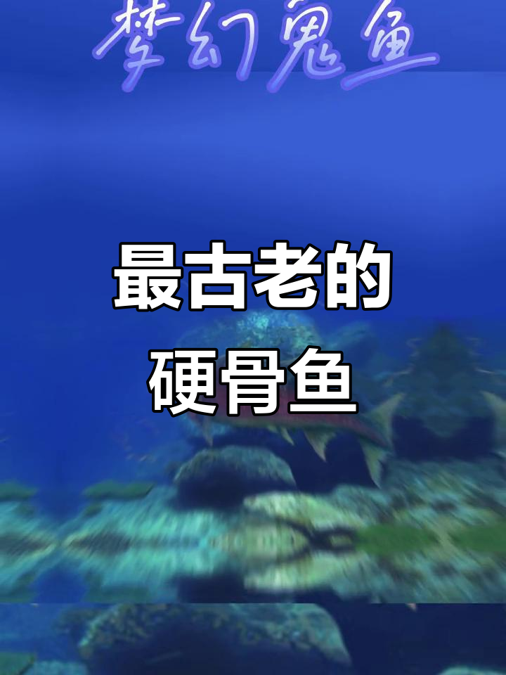 梦幻鬼鱼,全球最古老有颌脊椎动物化石