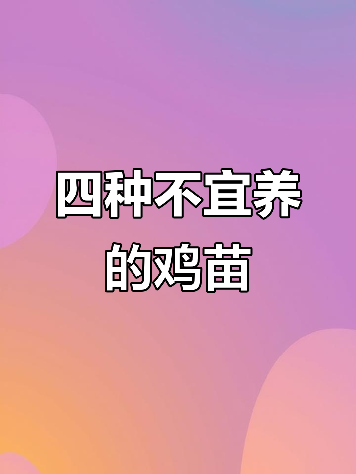 选鸡苗必看:四种不能买的病弱小鸡