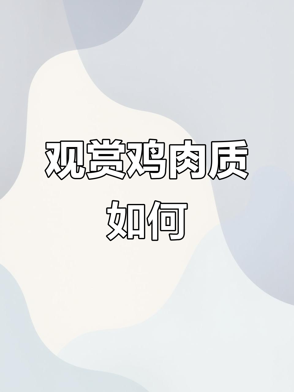 这些观赏鸡能吃吗?塞拉马、帽子和乌鸡的秘密