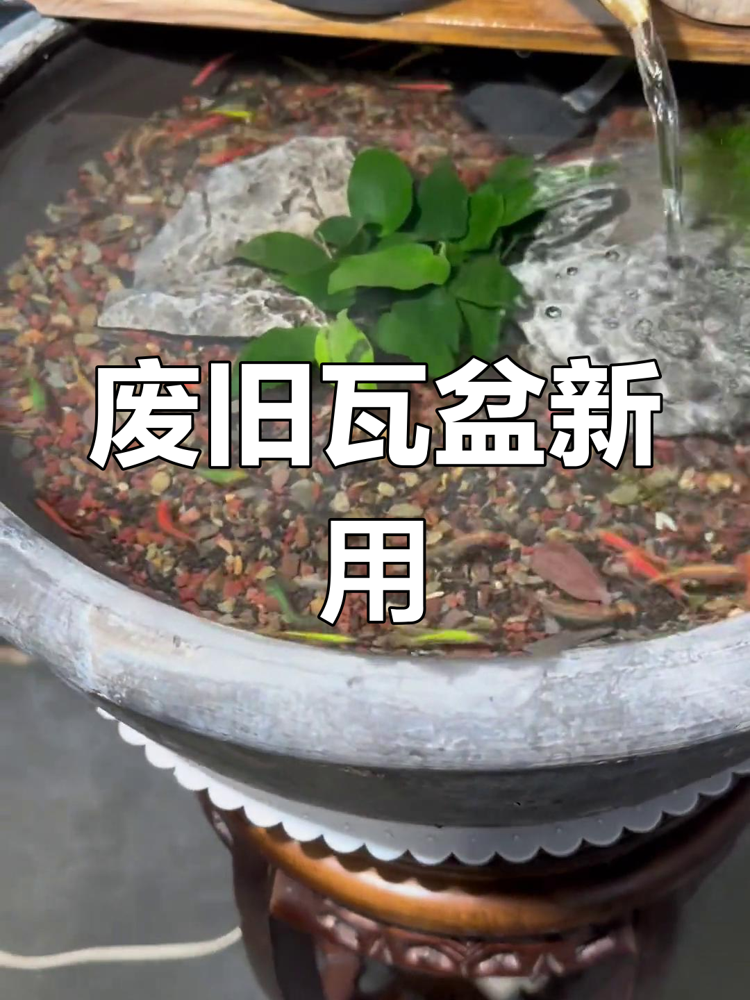 废弃瓦盆变鱼缸,创意十足又美观!