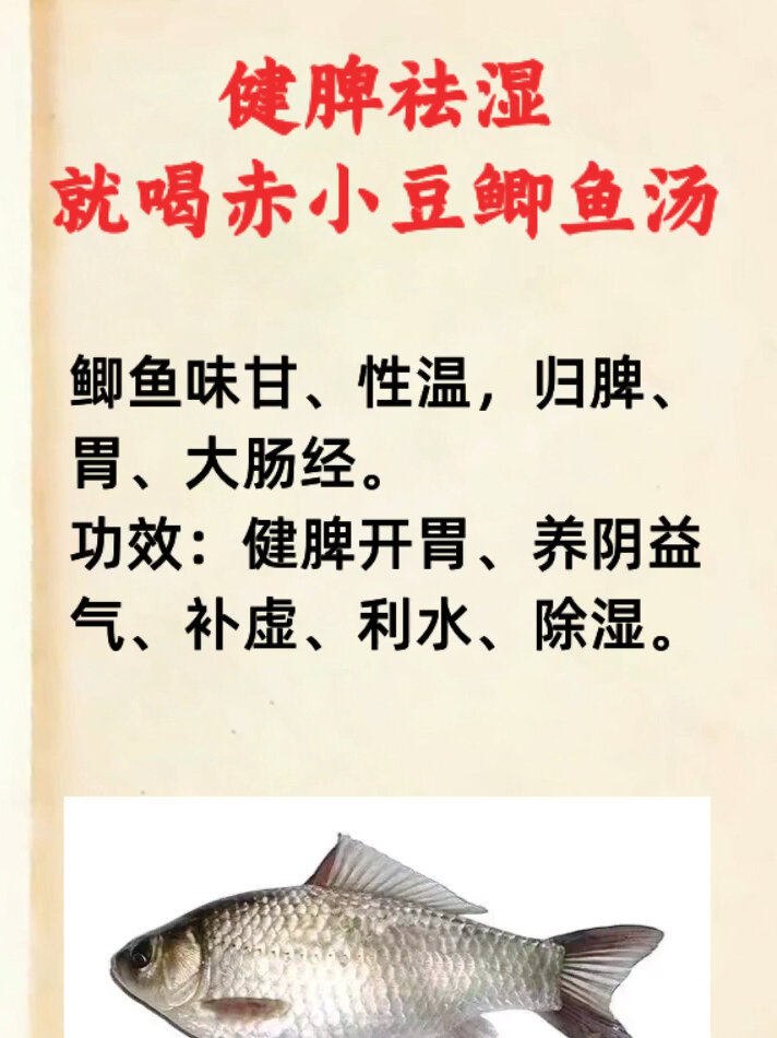 健脾祛湿,就喝赤小豆鲫鱼汤!