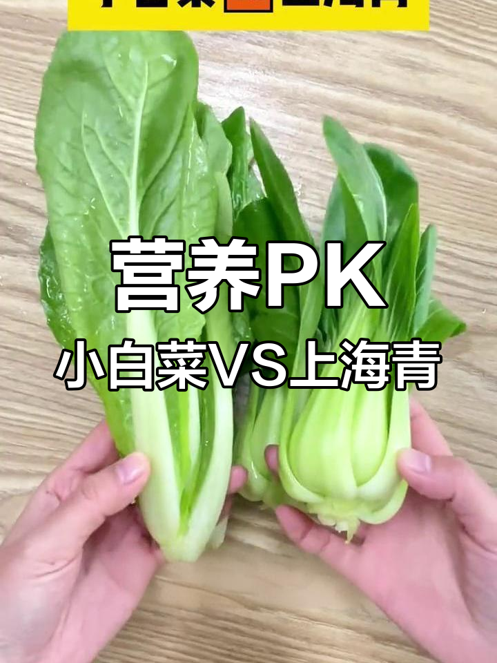 小白菜与上海青的营养差异大揭秘
