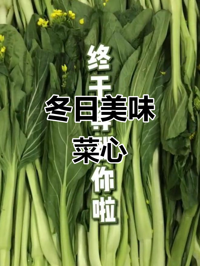 冬季增城菜心,大个鲜美,炒一炒清爽可口