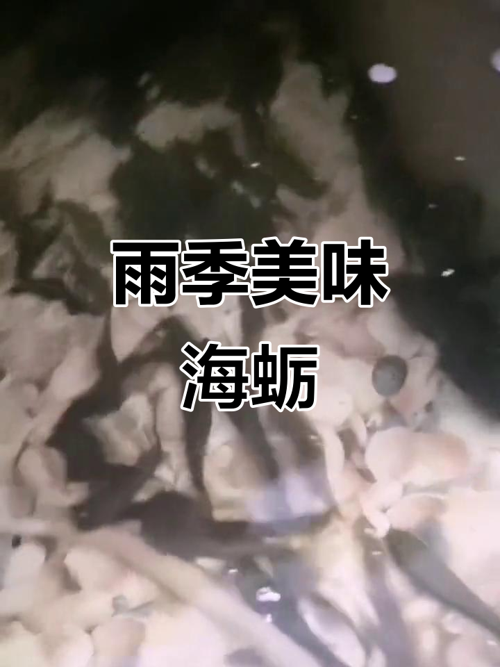 海蛎鱼,雨季溪流捕获,肉质鲜美,口感细腻