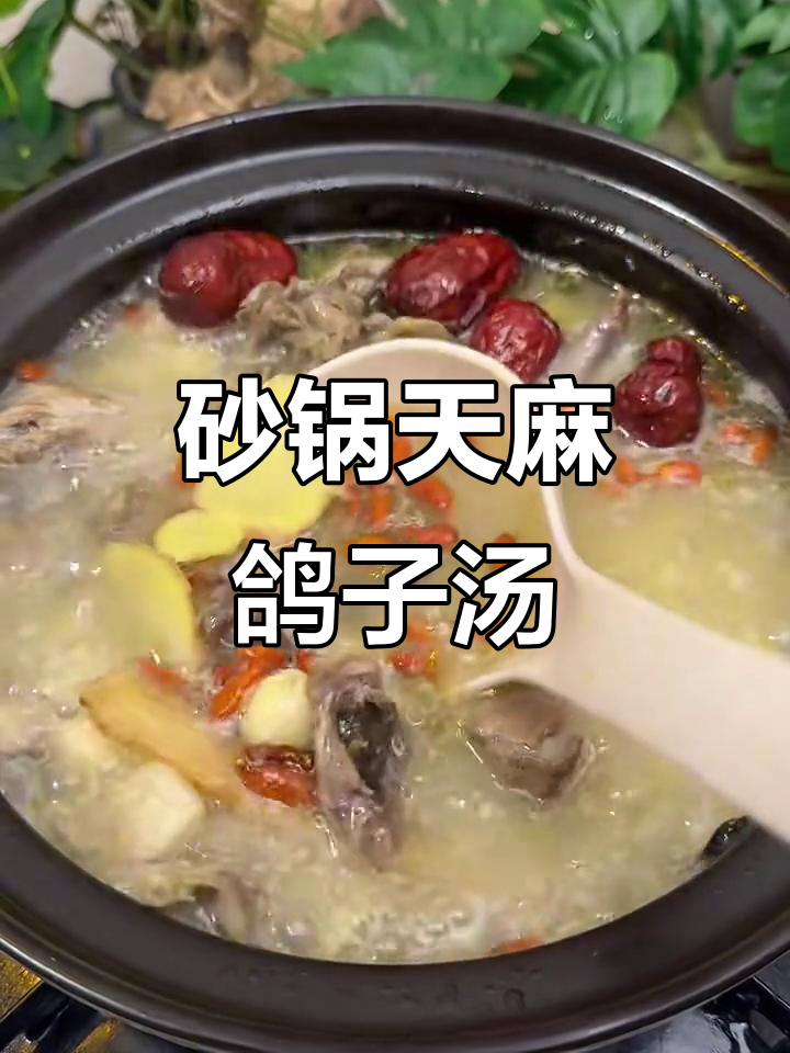 天麻鸽子汤，滋补又美味！