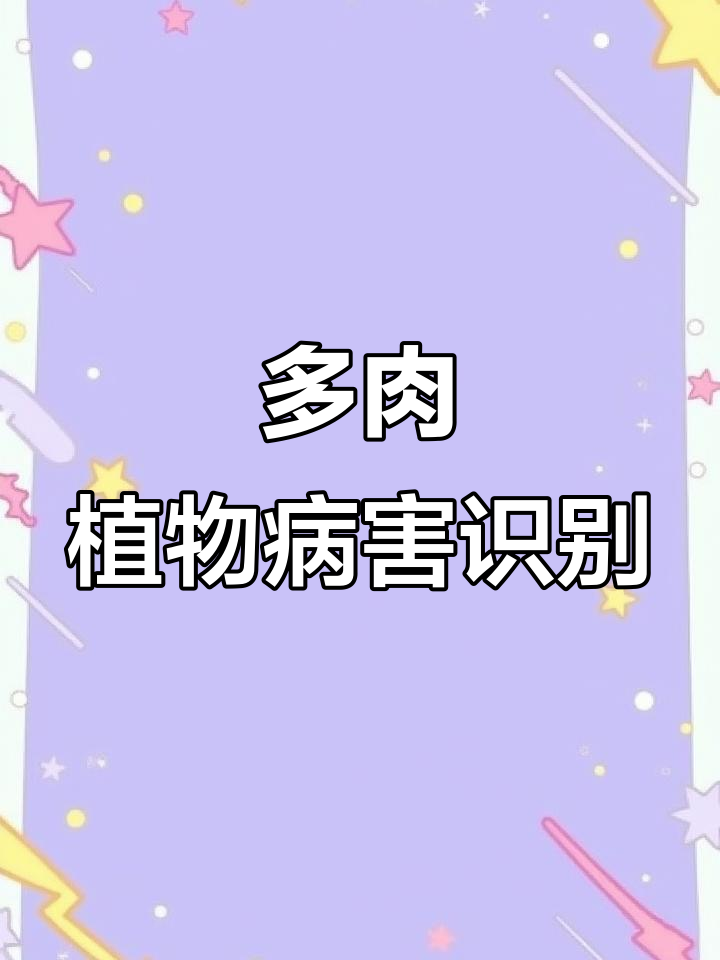 多肉植物常见病害识别与防治技巧,轻松解决黑斑、炭疽等问题