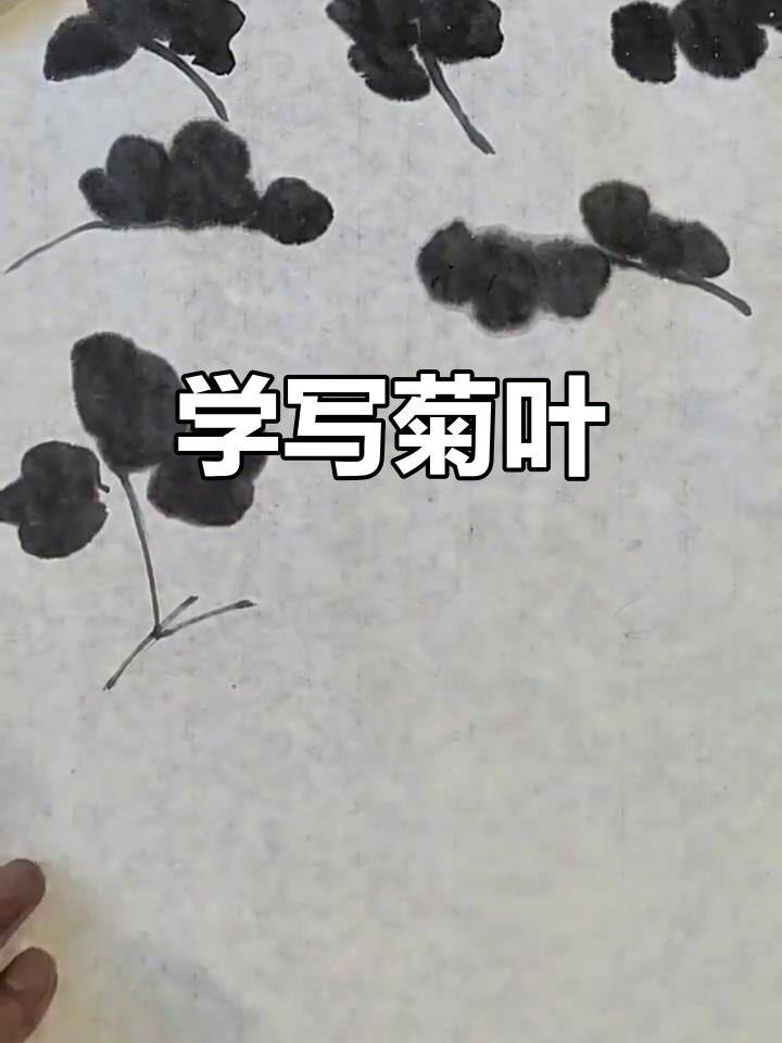 写意菊花叶片技巧,轻松掌握国画风格