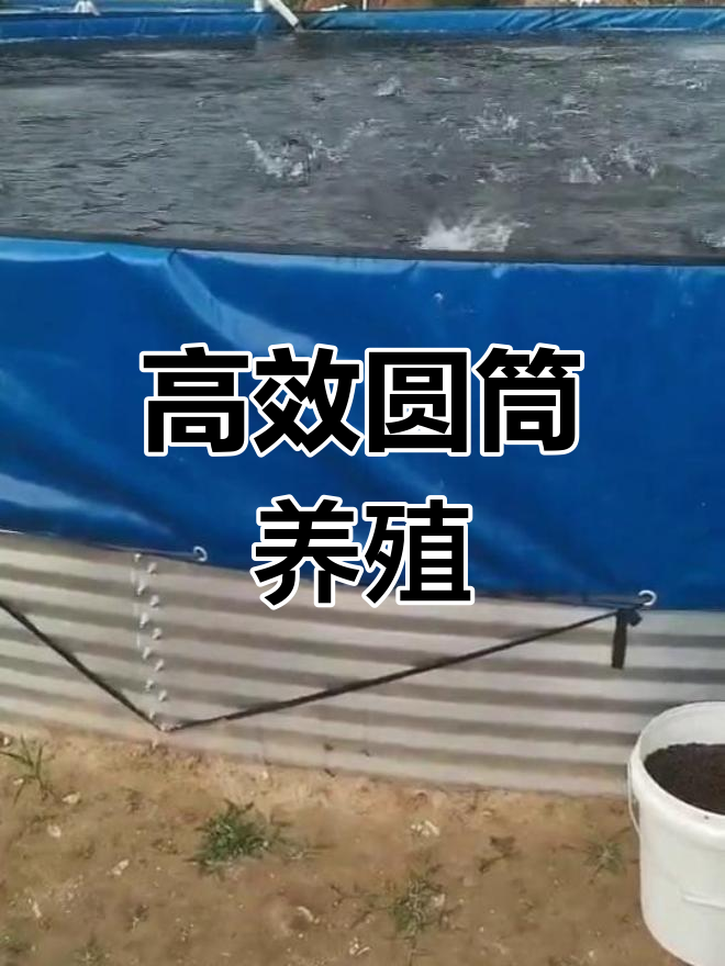 圆桶养殖更省电,增氧设备利用效率更高