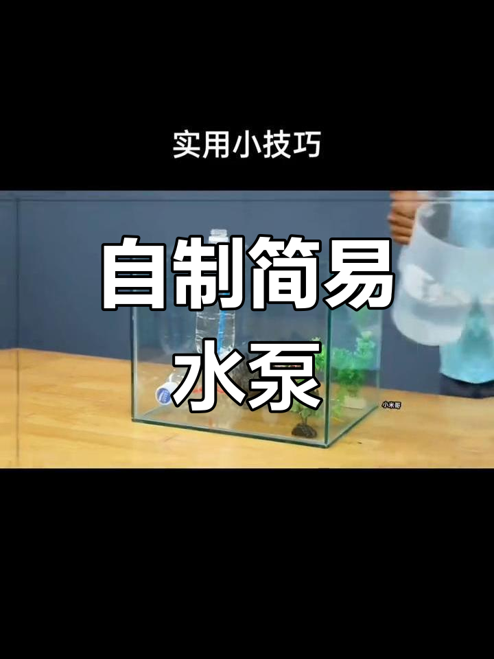 无需电力的水循环装置,轻松制作鱼缸水泵