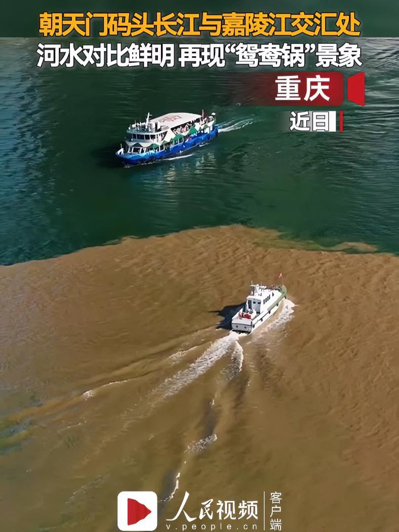 重庆朝天门两江交汇处颜色对比鲜明,再现“鸳鸯锅”景象!