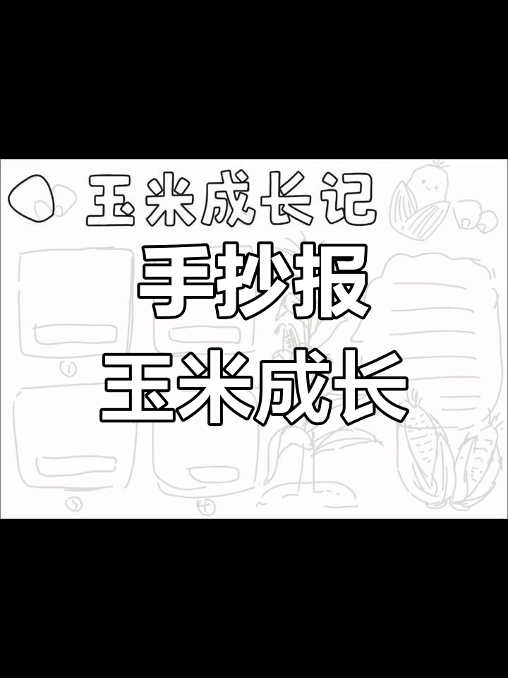 玉米成长记手抄报,轻松搞定植物生长过程