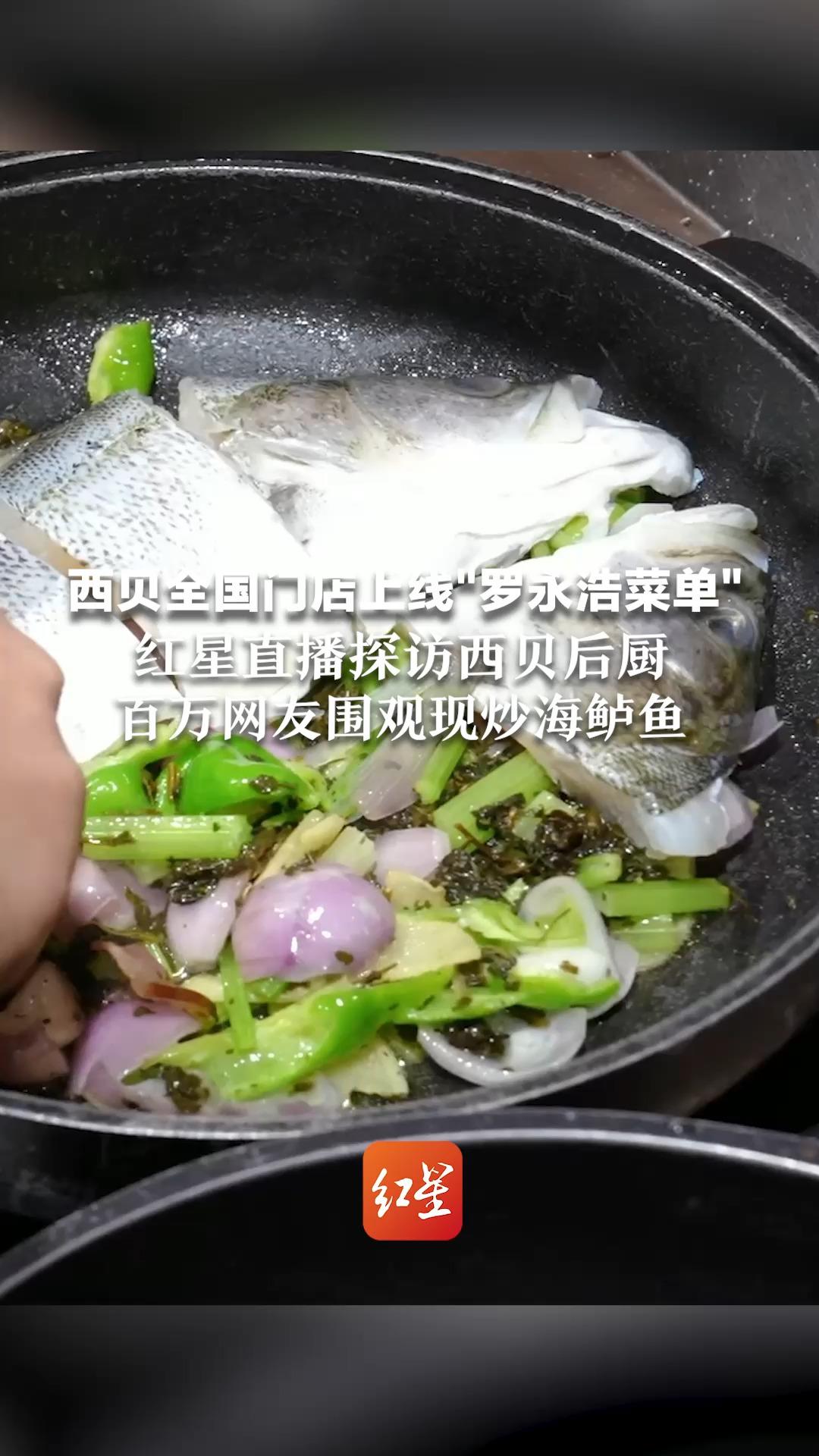 西贝全国门店上线“罗永浩菜单” 红星直播探访西贝后厨 百万网友围观现炒海鲈鱼 厨师:腌制后