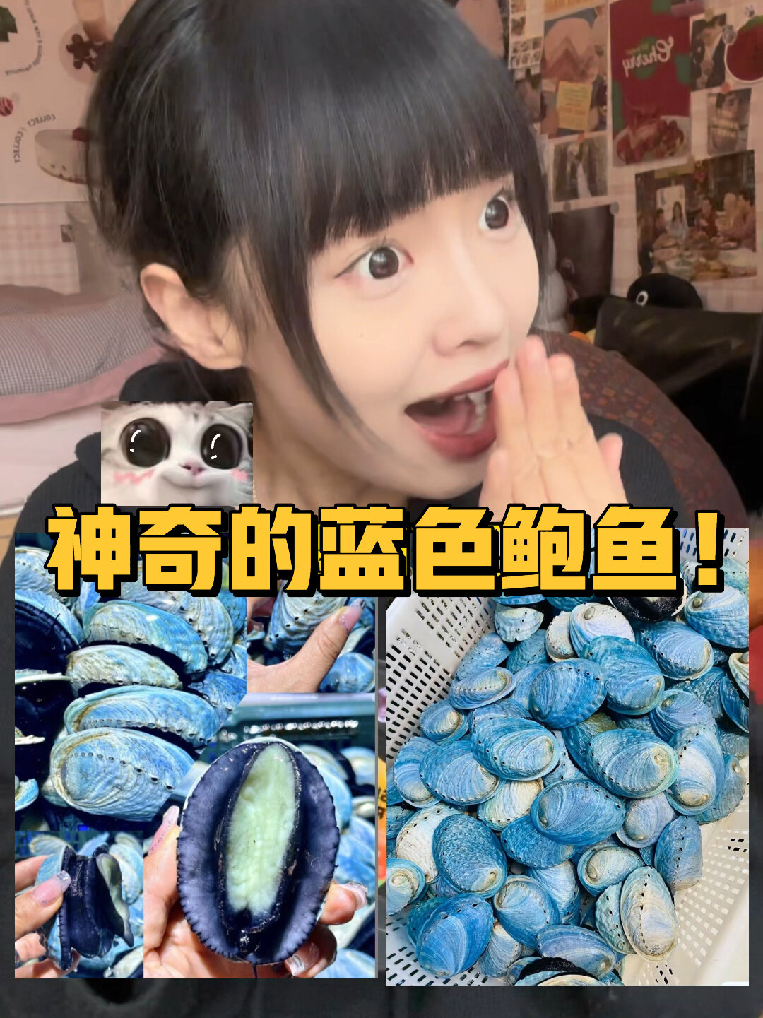 用蓝色鲍鱼做大餐!我是开眼界了!你们也开开